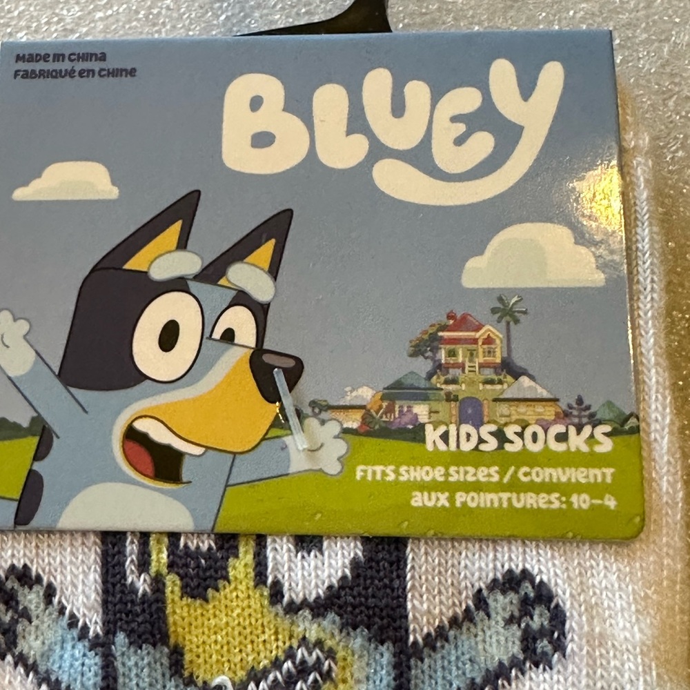 NEW! Bluey Kids Socks